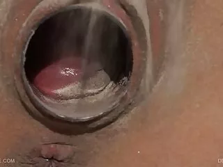 Meleg kelemen anna porno Medvék Anális Szondázás
